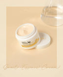 Hydration Day Cream for Mornings