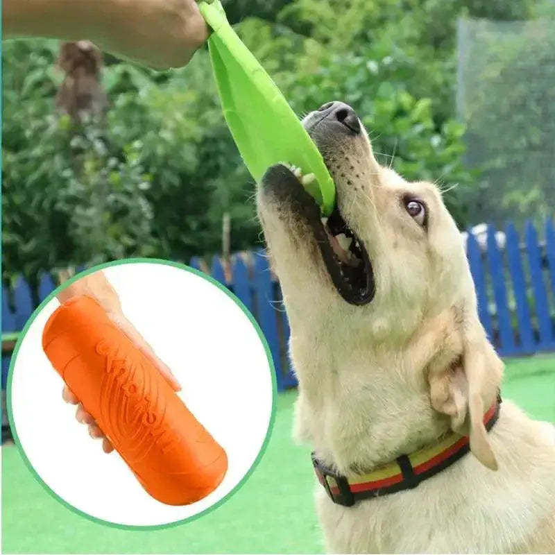 Eco Friendly Interactive Silicone Dog Flying Disk Toy