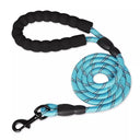 Reflective Dog Leash for Night Walks