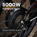 Long Range Electric Fat Tire Bike