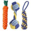 Dog Chew Toy Set for Healthy Playtime and Dental Care