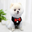 Festive Bowtie Pet Harness for Small to Medium Pets