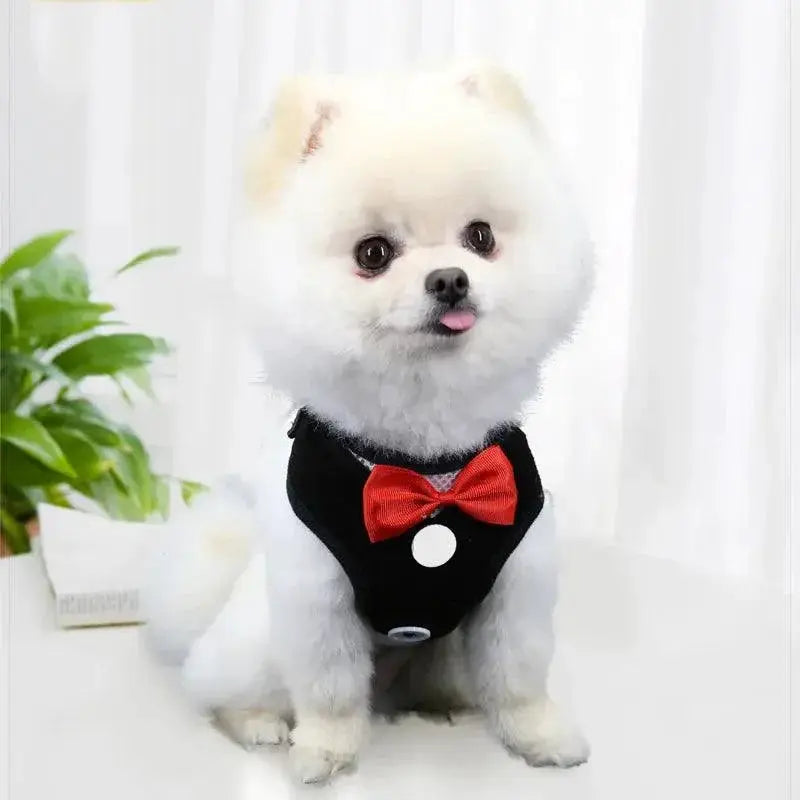 Festive Bowtie Pet Harness For Small To Medium Pets