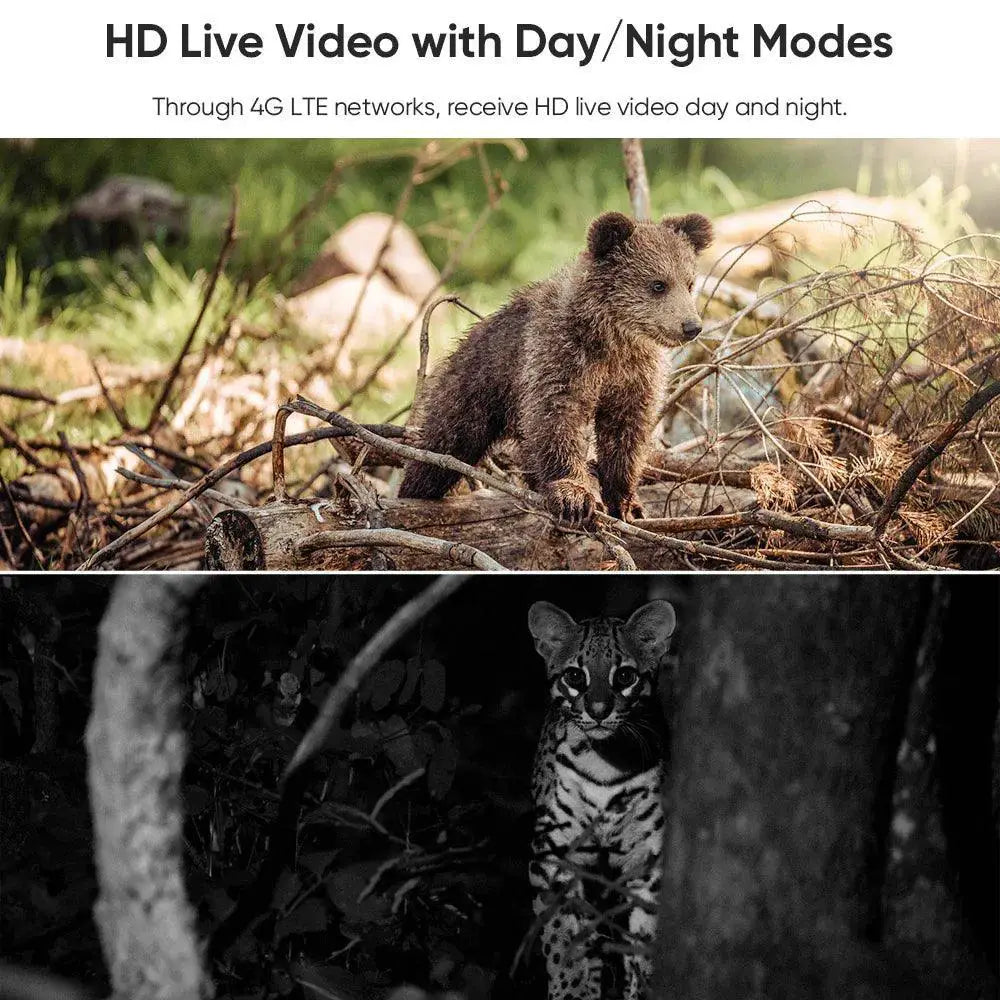 2K Wildlife Solar Camera With Night Vision And Motion Alerts