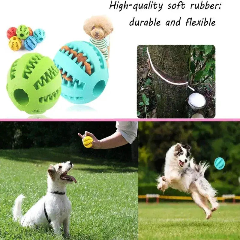Interactive Rubber Dog Toy Ball For Chewing And Fun
