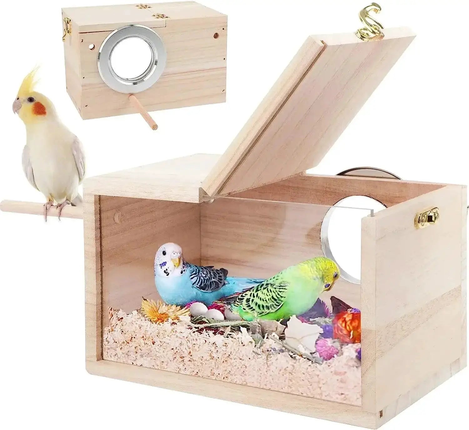 Transparent Acrylic Bird House Ultimate Visibility Safe