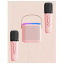 Portable Bluetooth 5.3 Speaker System With 2 Wireless Microphones