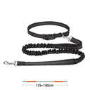 High Quality Hands-Free Dog Leash with Dual Bungee for Large Dogs