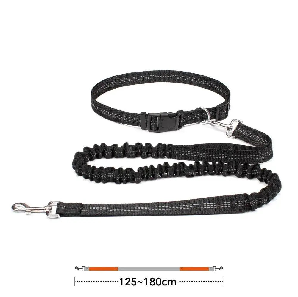 Hands Free Dog Leash With Dual Bungee For Large Dogs Outdoor