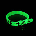 Luminous Cat Collar: Glow-in-the-Dark Safety Accessory