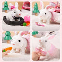 Children's Interactive Rabbit Electronic Pet Soft Fun Gift
