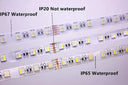 4In1 RGB LED Strip 12V 24V RGBW RGBWW RGBCCT Mood Lighting Tape 60 84 96 LEDs