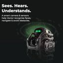 Home Robot Companion Ai Chat