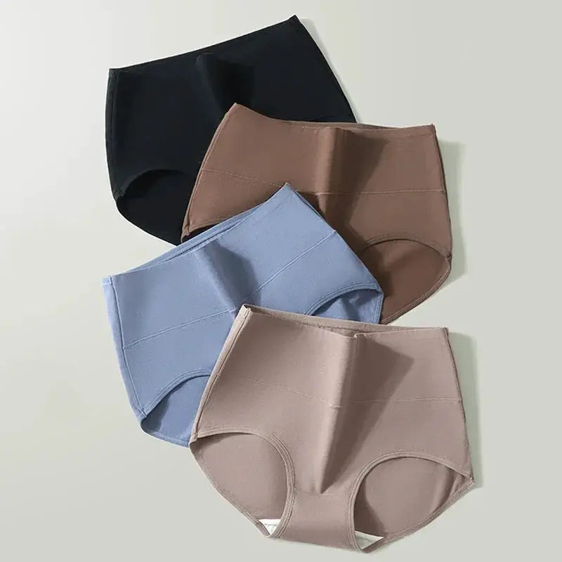 4 Pcs High Waist Womens Panties Body Shaper Plus Size Briefs