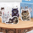 Easy Decorating Cat Stickers for Crafts