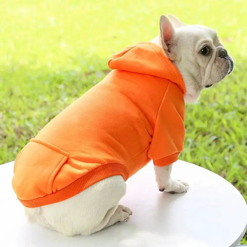 Winter Dog Hoodie For Small And Medium Dogs Cozy Clothing