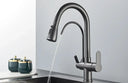 Filtered Water Kitchen Faucet For Homes