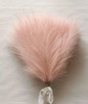 Effortless Pampas Grass Decor for Home