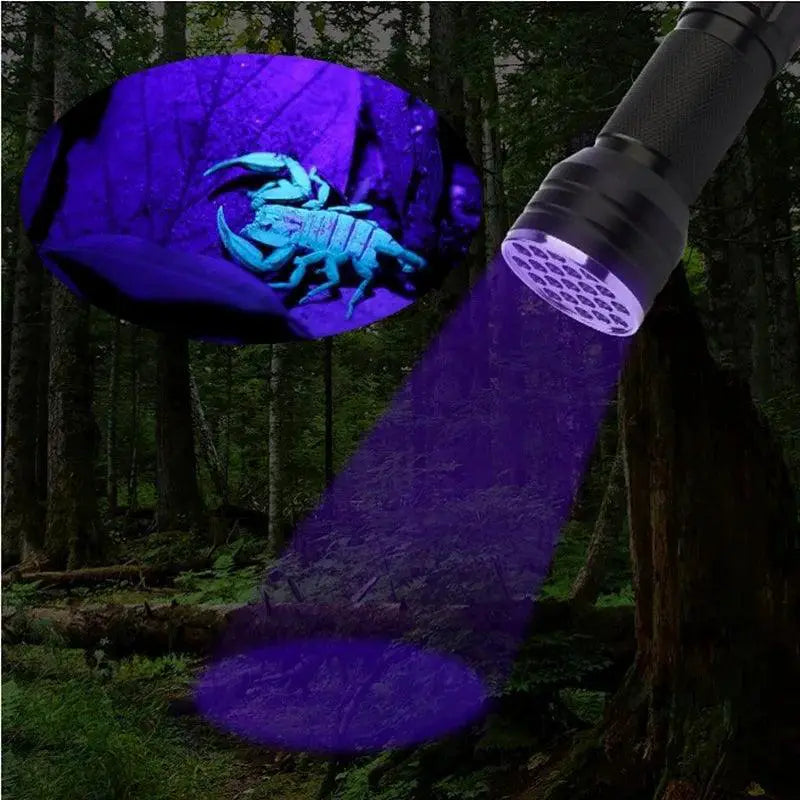 LED UV Blacklight Mini Torch Flashlight for Pet Urine Stains