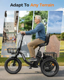 Folding Electric Trike For Adults