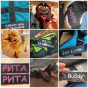 Reflective Pet Harness for Safe Nights