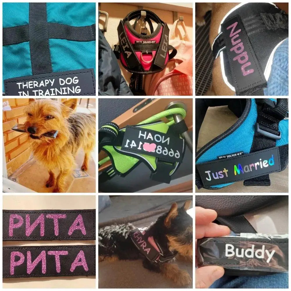 Reflective Personalized Pet Harness Collar ID Tags Paw Heart