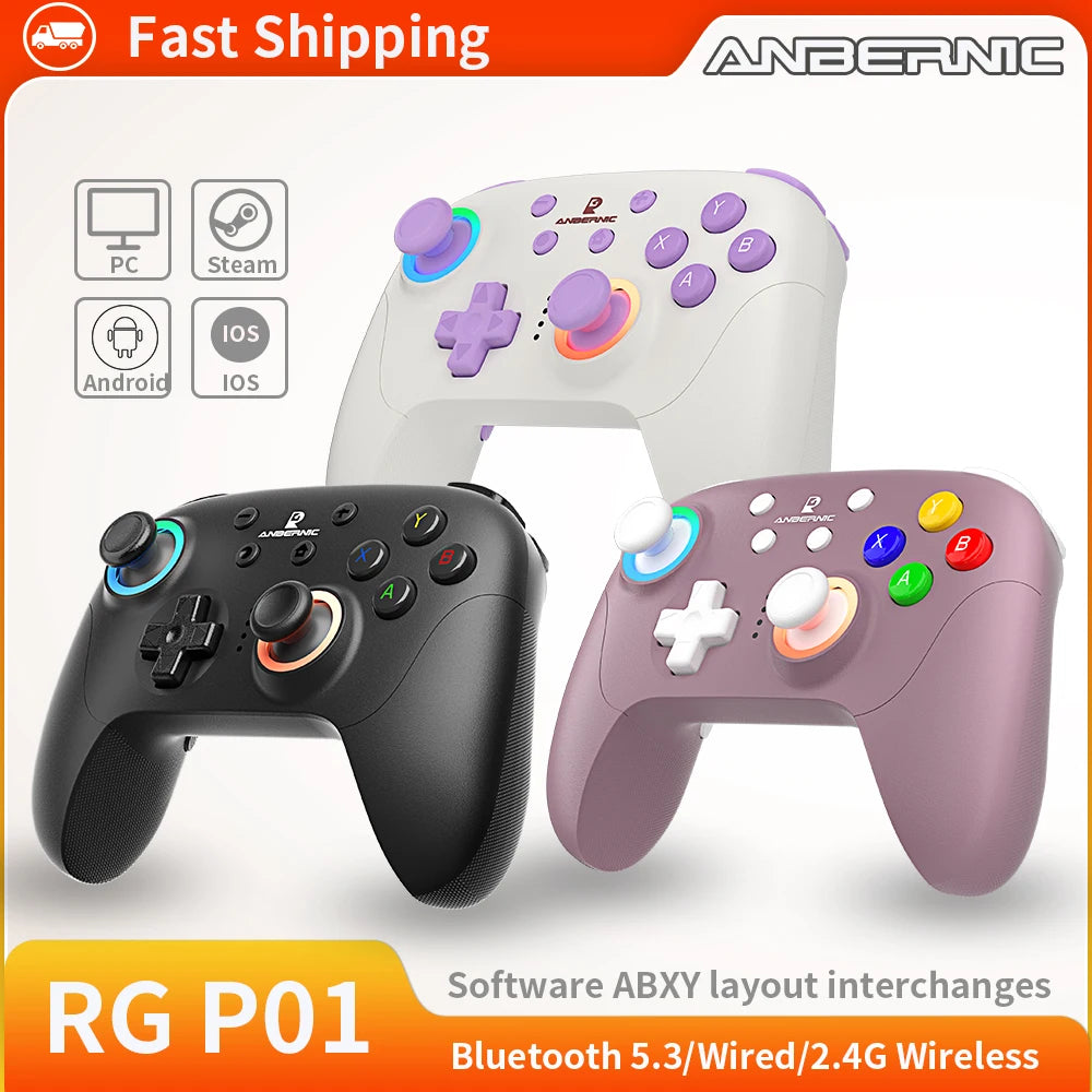 Anbernic Game Controller Play