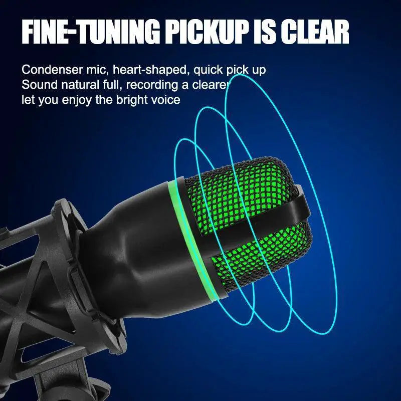 Professional USB Condenser Microphone For PC Laptop