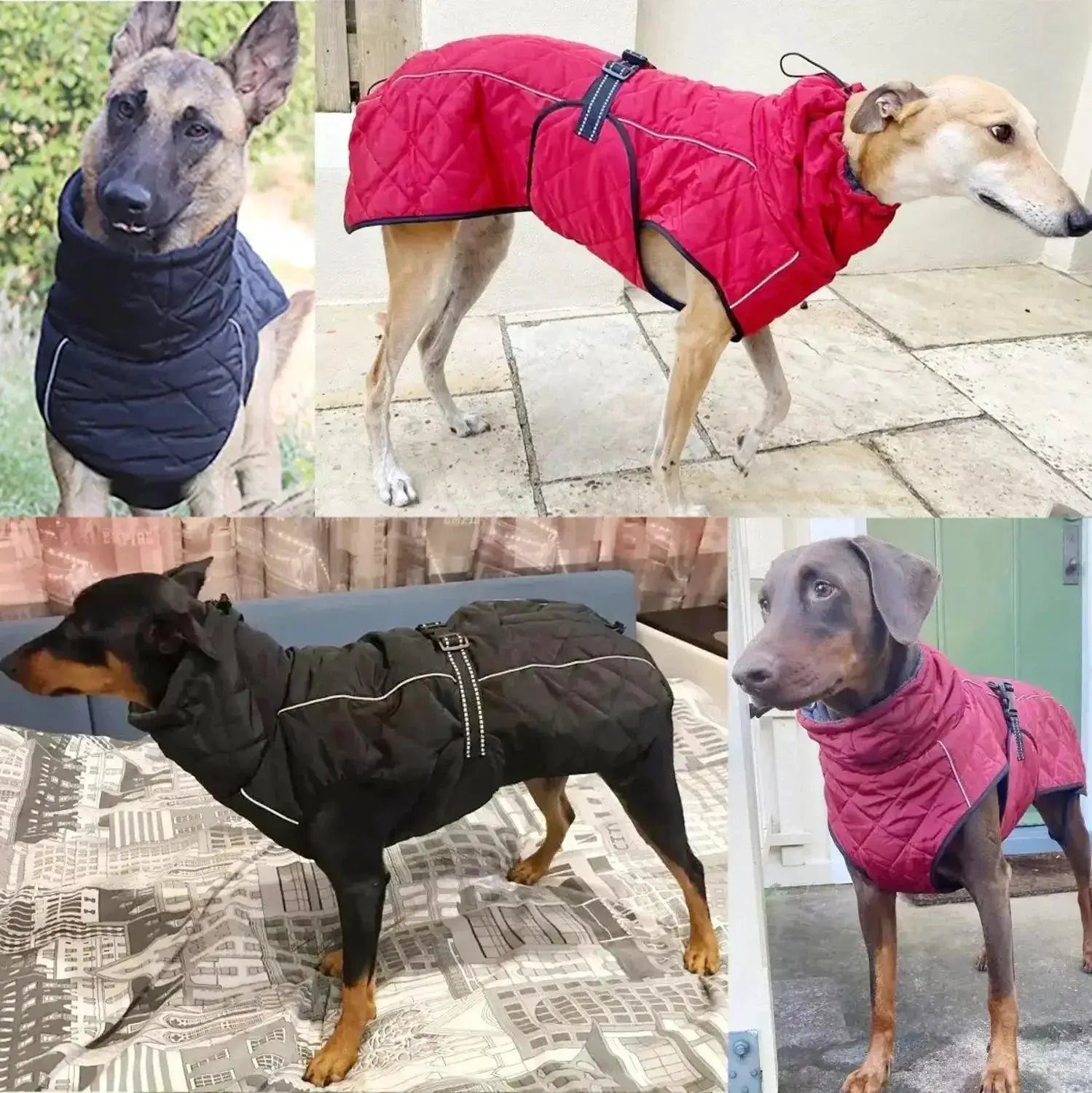 Labrador Winter Jacket Waterproof Reflective Coat For Dogs