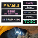Reflective Pet Harness for Safe Nights