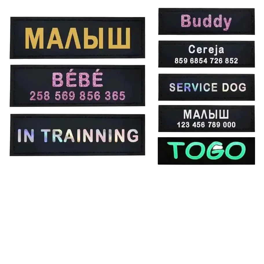 Reflective Pet Harness for Safe Nights — Reflective