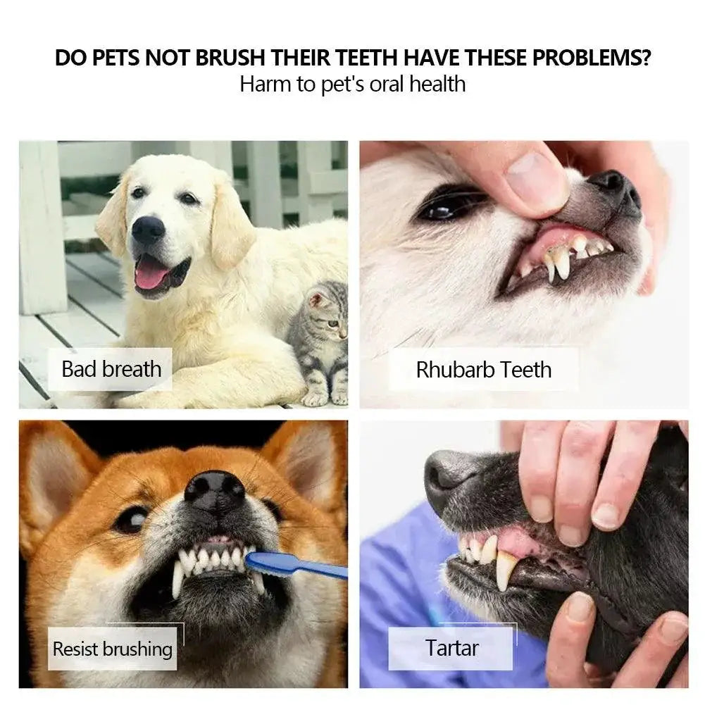 Three Head Pet Toothbrush For Bad Breath Teeth Care Tool