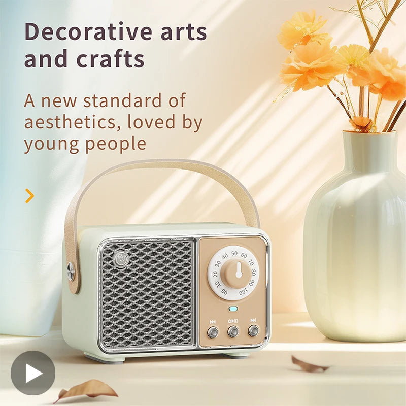 Bluetooth FM Radio Audio Speaker