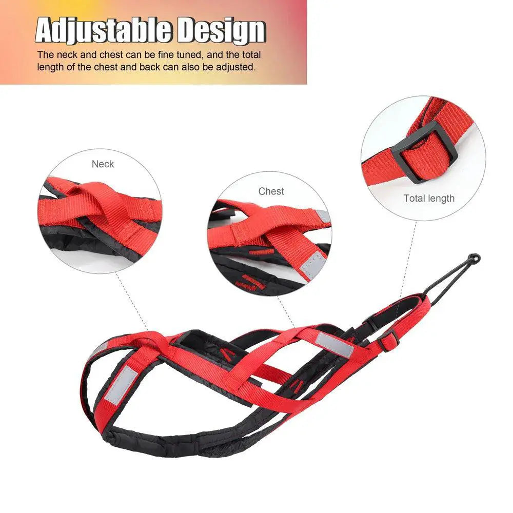 Adventure Dog Harness Durable X Back For Large Huskies