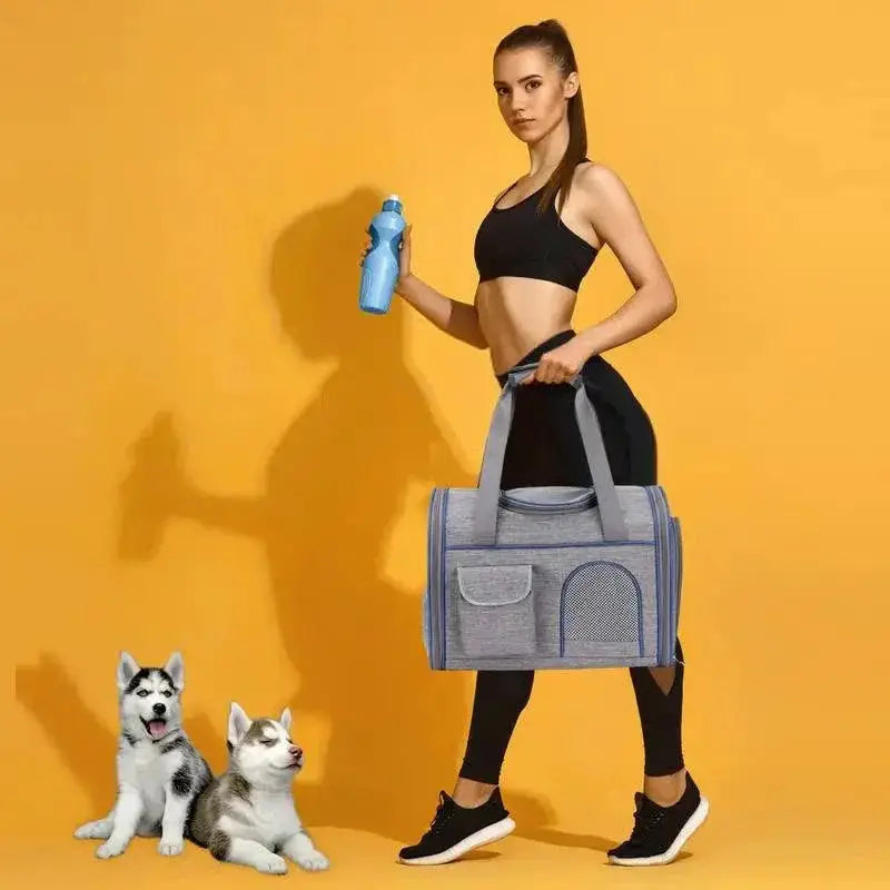 PawVoyage Soft Travel Carrier For Dogs And Cats Comfort