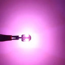 Car Led Light Bulb LED Canbus No Error