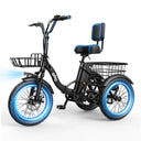 Qlife Triker - Fat Tire
