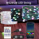 WS2812B RGB LED String Lights With USB Controller 5V Perfect For Weddings