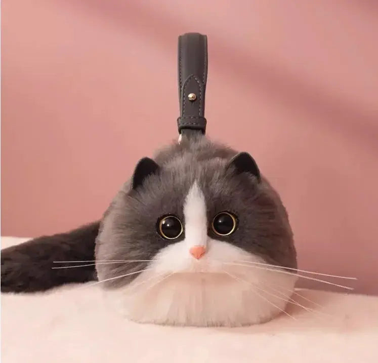 Pet Accessory Please Note Test Connection Is Incorrect