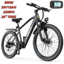 Heavy Duty Fat Tire Electric Bike