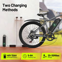 Fast Fat Tire Electric Bike