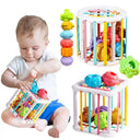 Shape Sorting Toy for Kids Math Skills