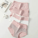 Plus Size Cotton Panties for Comfort