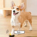 Clear Talk Pet Training Buttons for Dogs