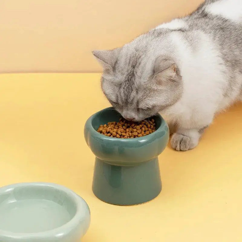 Ceramic Elevated Pet Feeding Bowl for Cats and Dogs