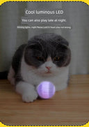 Autonomous Jumping Ball Cat Toy Indoors