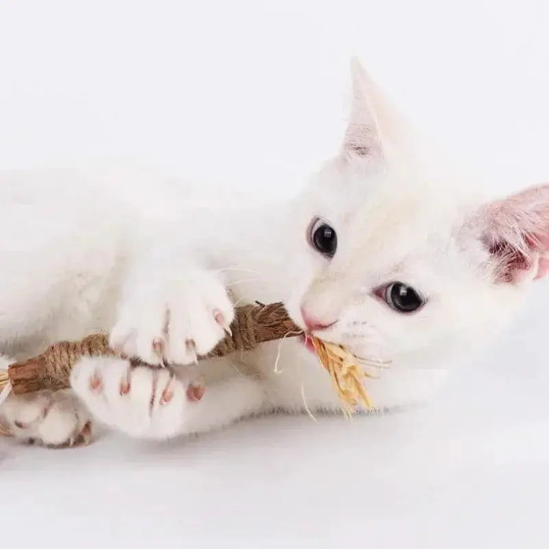 Catnip Chew Stick for Cats Dental Health and Stress Relief