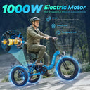 Cybervelo Adult Folding Fat Tire E-Tric