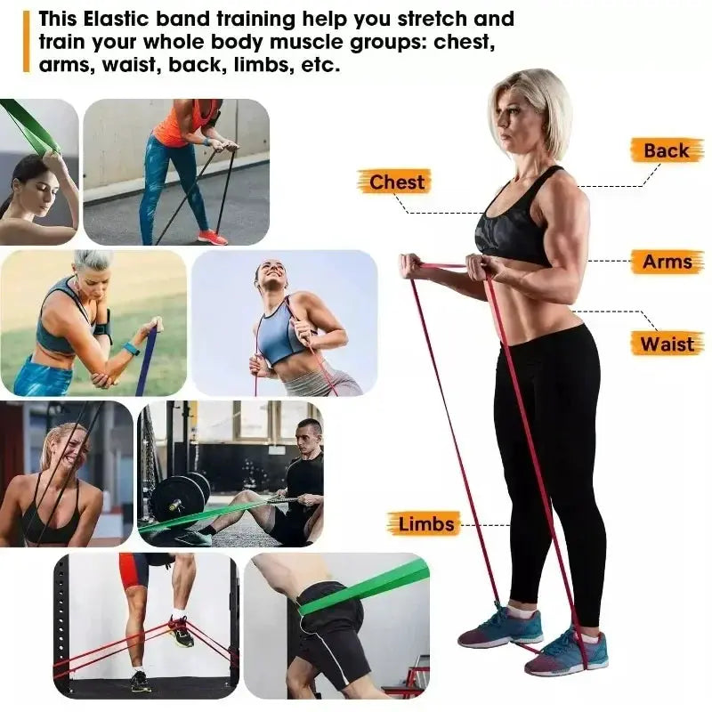 Multifunctional Resistance Bands Set for Strength Training