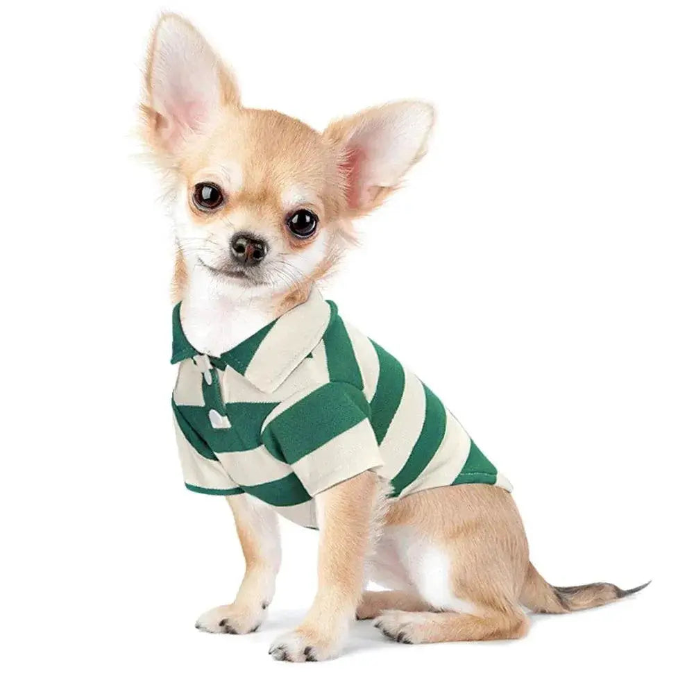 Casual Summer Dog Shirt For All Pets Small To Large